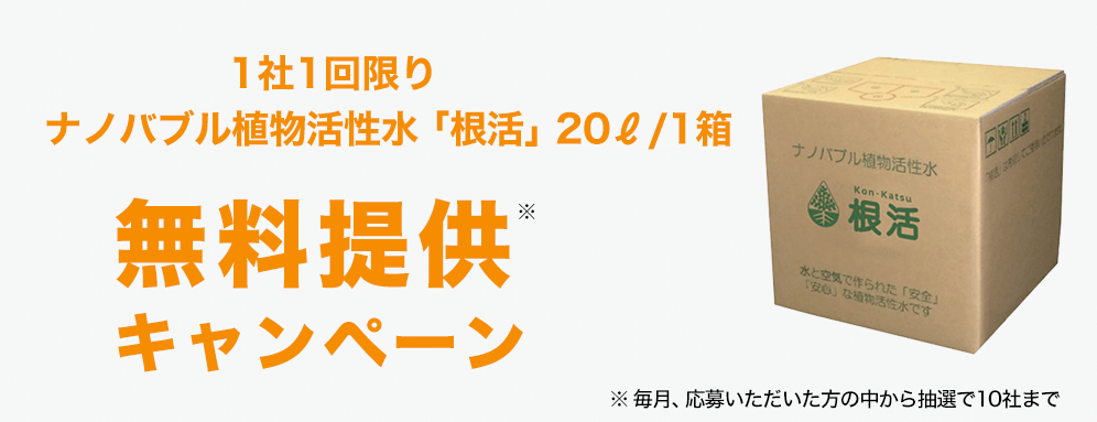 キャンペーンバナー