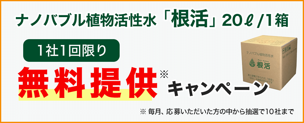 キャンペーン
